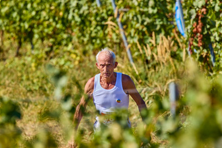 September 26, 2021: Romania, Marcea, running competition Edition no. one. Promoting sport locally, 12 km race. images from the competition.のeditorial素材