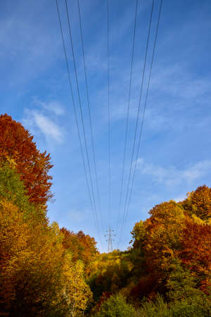 beautiful autumn scenery on a sunny October day.の写真素材