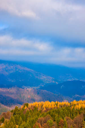 Autumn forest mountains. Beautiful colorful autumn yellow orange forest in bright sunlight.の写真素材