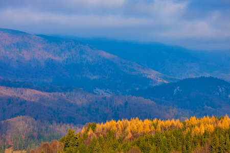 Autumn forest mountains. Beautiful colorful autumn yellow orange forest in bright sunlight.の写真素材