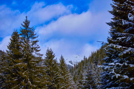 beautiful mountain landscape in winter in the Carpathian mountains Romaniaの写真素材