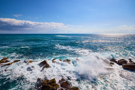 Beautiful landscape with a rocky sea shore on a sunny day