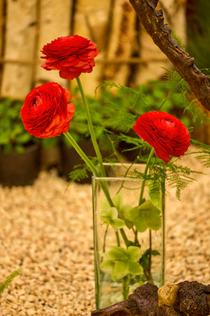 beautiful abstract background with flowers in blur dof.