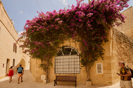 Mdina 09 July 2022.Images from Mdina, the old capital of the state of Malta. Mdina or Medina and in Maltese L-Imdina is an ancient city called in Phoenician Melitta.のeditorial素材