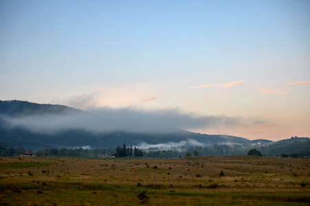 beautiful mountain landscape with green forest in the Carpathian Mountainsの写真素材