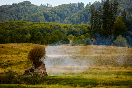 beautiful mountain landscape with green forest in the Carpathian Mountainsの写真素材
