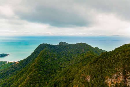 landscape with water and vegetation on a summer dayの写真素材