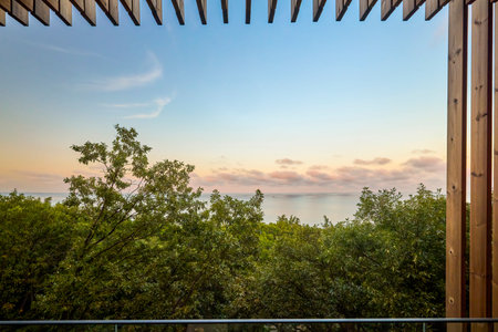 landscape with water and vegetation on a summer dayの写真素材