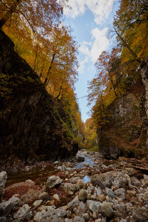 landscape with the gorge of a mountain river in autumnの写真素材