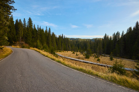 Beautiful mountain autumn landscape in Bucegi Mountains Romaniaの写真素材