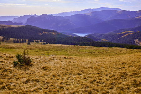 Beautiful mountain autumn landscape in Bucegi Mountains Romaniaの写真素材