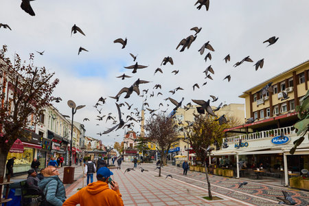 Edirne, Turkey November 23, 2022. Image from the streets of Edirne, specific local lifestyle.