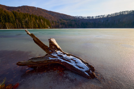 Beautiful landscape with St. Ana Lake in Romania, volcanic lake in December.の写真素材