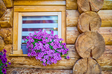 image of flowers at the window of a wooden cabinの写真素材