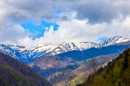 landscape with a mountain in the Carpathian mountains of Romaniaの写真素材