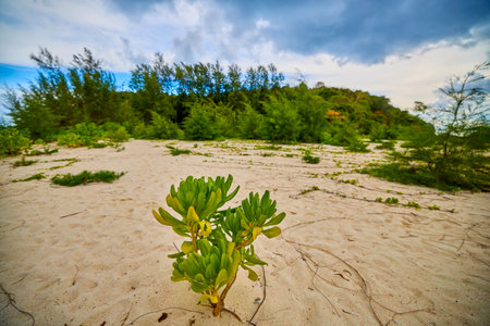Beautiful scenery of the Thai islands of Phuke, scenery for travel.の写真素材