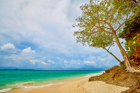 Beautiful scenery of the Thai islands of Phuke, scenery for travel.の写真素材