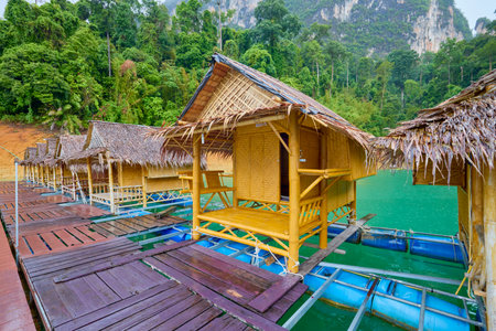 Khao Sok Thailand May 28, 2023. Khao Sok National Park, on a rainy day.のeditorial素材