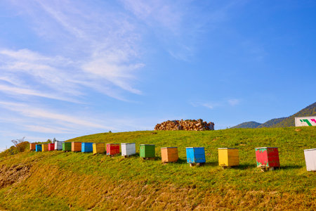 landscape with beehives somewhere in the mountainsの写真素材