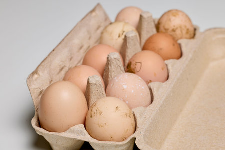a formwork with organic eggs from a small farm.