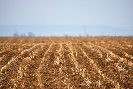agricultural field plowed during the spring.