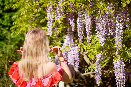 A beautiful blonde woman near a blooming wisteria on a sunny day.の写真素材