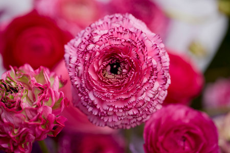 lendscape with beautifully colored flowers from a flower show.の写真素材
