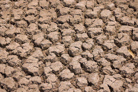 Texture with cracked earth from drought.