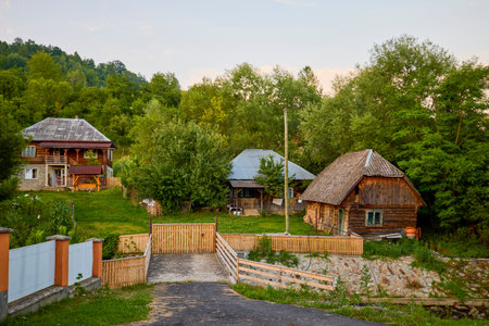 landscape with different traditional houses from Maramures, Romania, Houses built predominantly from...