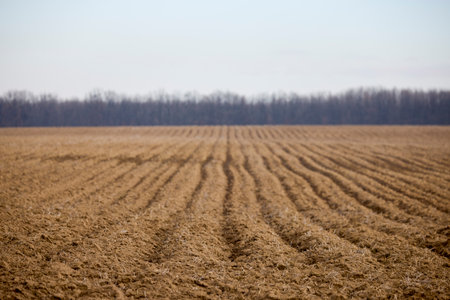 plowed agricultural field, ready to be cultivated.の写真素材