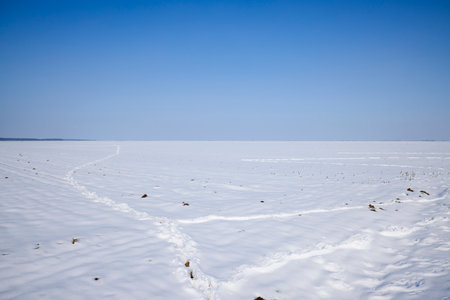 footprints on a snow-covered agricultural fieldの写真素材