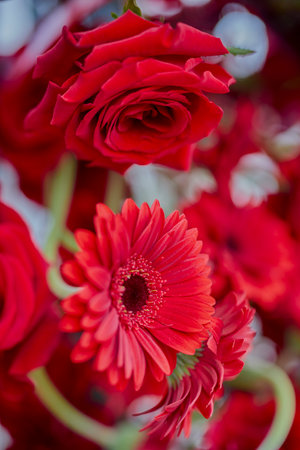 landscape with a floral arrangement of various rosesの写真素材