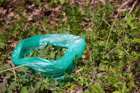 a bag of nettles on the ground in the forestの写真素材
