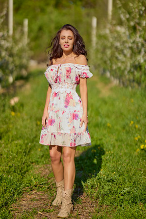 Full body portrait of a beautiful woman in a dress in a blooming apple orchard on a sunny spring dayの写真素材