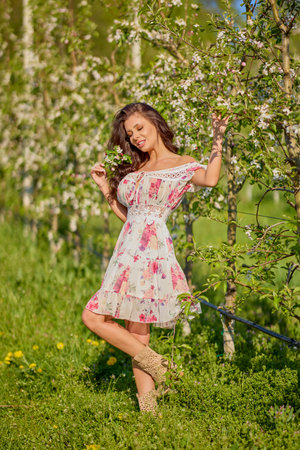 Full body portrait of a beautiful woman in a dress in a blooming apple orchard on a sunny spring dayの写真素材
