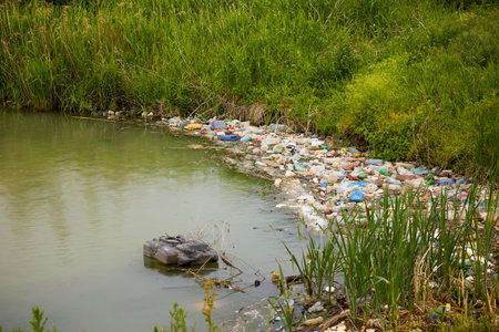 A lake polluted with garbage and plastic debris.の写真素材