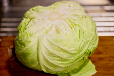 fresh white cabbage with water drops on itの写真素材