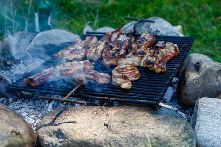 grilled meat at a picnic in nature.
