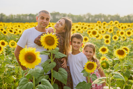 A beautiful family on a farm enjoys a sunflower field togetherの写真素材
