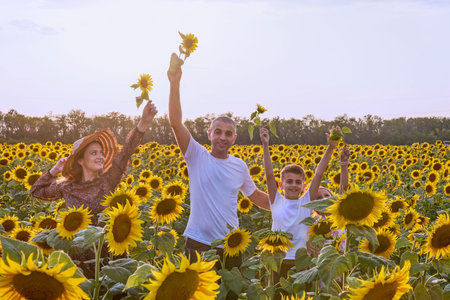 A beautiful family on a farm enjoys a sunflower field together