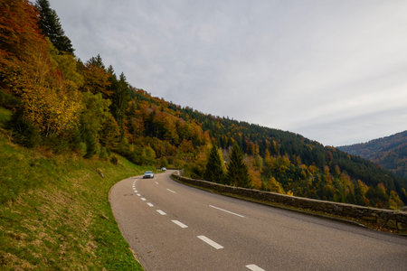 a mountain road during autumn with colorful trees