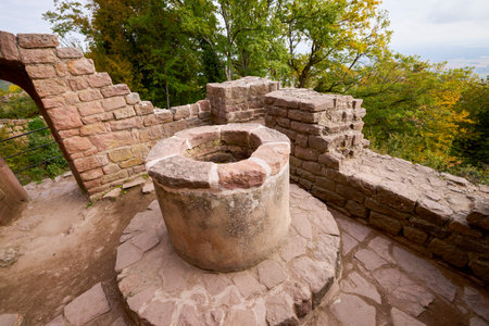 The ruins of a medieval castle located on a mountain in France, Alsace areaの写真素材
