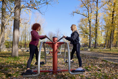A middle-aged woman in the park with her friend doing sports together on a beautiful autumn dayの写真素材