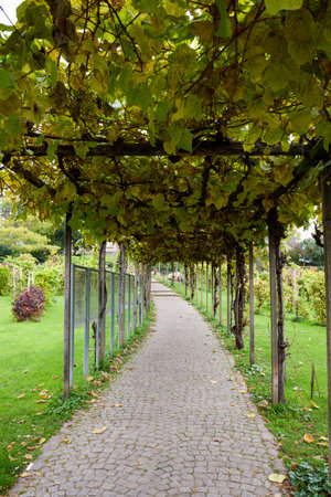 Freiburg im Breisgau, Germany October 19, 2025. images of the city with various tourist attractions characteristic of the areaのeditorial素材