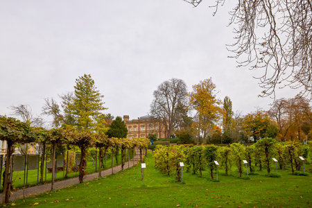 Freiburg im Breisgau, Germany October 19, 2025. images of the city with various tourist attractions characteristic of the areaのeditorial素材