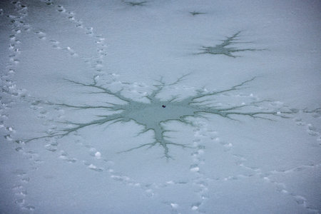 Ice formations on a lake and bird tracks