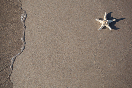 Closeup of starfish on sand beach with waveの写真素材