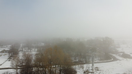 a small forest trees mixed with houses in the fog aerialの写真素材