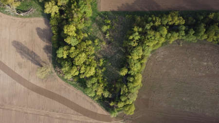 Aerial view to spring landscape with green fields, bright trees and blue sky.の写真素材