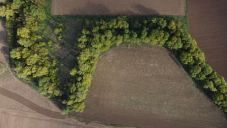 Aerial view to spring landscape with green fields, bright trees and blue sky.の写真素材